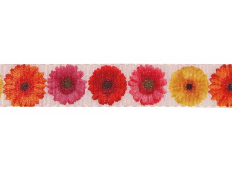 Dekoband bestickt mit Blüten oder Blumen Blüten Gerbera - Bunt 40mm x 15m 