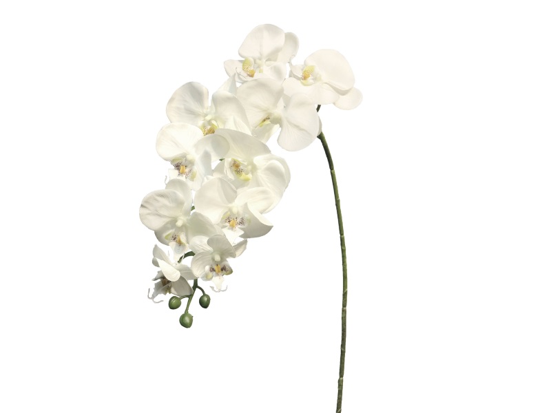 Phalenopsis 10 Blüten (Kunstblume) creme 103cm